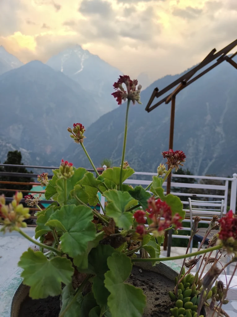Welcoming mountain stay in Kinnaur