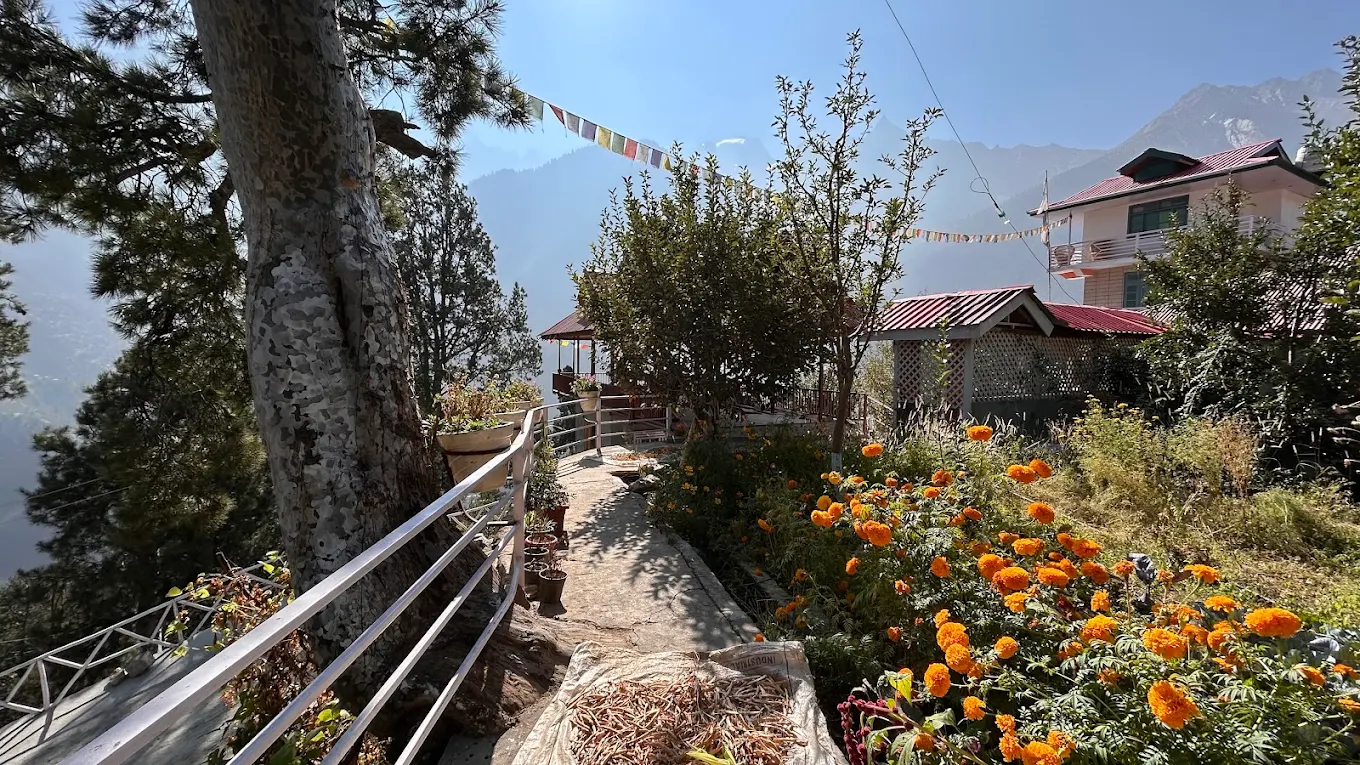 Flowering terrace garden overlooking the Kinnaur valley