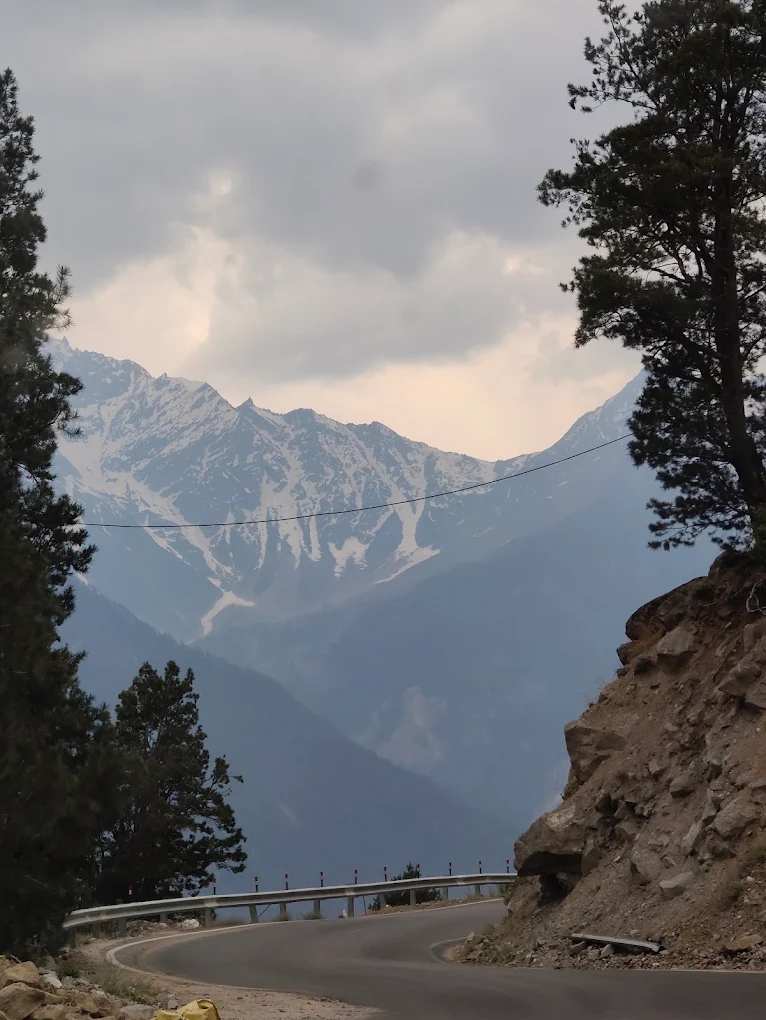 Garden and valley view from KinVatika Homestay, Kalpa