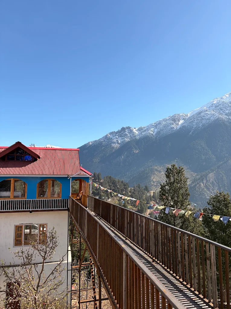 Garden and valley view from the homestay